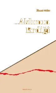 Aklımın Erdiği