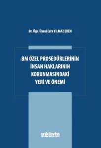 BM Özel Prosedürlerinin İnsan Hakları Korumasındaki Yeri ve Önemi