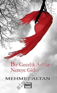 Bir Gecelik Aşklar Nereye Gider -