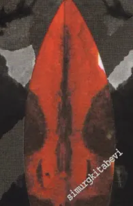 Rorschach Testinin Psikanalitik Yorumu 2: Erişkin Psikopatolojisinin Değerlendirilmesi -        2002
