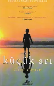 Küçük Arı