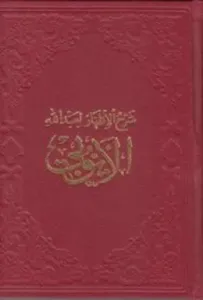 Eyyûbî (Şerhu'l-İzhâr)