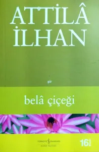 Bela Çiçeği
