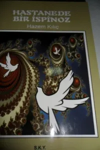Hastanede Bir İspinoz