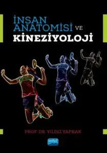 İnsan Anatomisi ve Kineziyoloji