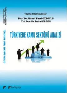 Türkiyede Kamu Sektörü Analizi