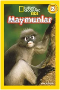 Maymunlar