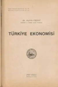 Türkiye Ekonomisi