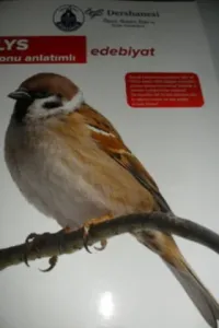 LYS Edebiyat Konu Anlatımlı