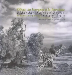 Fidandan Sofraya Zeytin Fotoğraf Sergisi = Olives du Bourgeon à la Fourchette - Exposition Photos -        2017