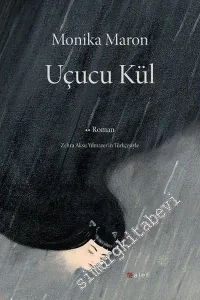 Uçucu Kül -