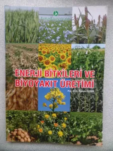 Enerji Bitkileri Ve Biyoyakıt Üretimi