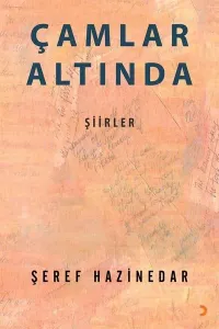 Çamlar Altında