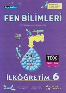 Bay Kalem Fen Bilimleri 6