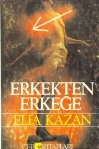Erkekten Erkeğe