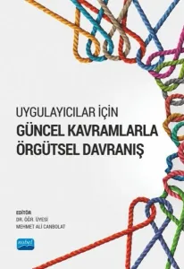 Uygulayıcılar İçin Güncel Kavramlarla Örgütsel Davranışta