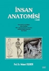 İnsan Anatomisi
