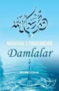 Nübüvvet Pınarından Damlalar