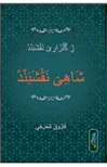 ŞAHÊ NEQŞEBEND - TÎPÊN 'EREBÎ
