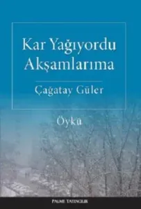 Kar Yağıyordu Akşamlarıma