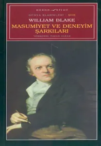 Masumiyet ve Deneyim Şarkıları Masumiyet ve Deneyim Şarkıları