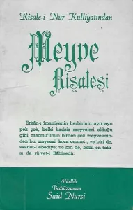 Meyve Risalesi Risale-i Nur Külliyatından - Cep Boy