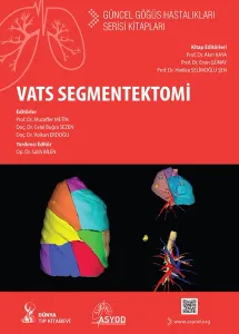 VATS Segmentektomi