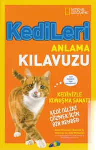Kedileri Anlama Kılavuzu