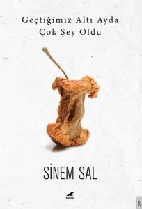 Geçtiğimiz Altı Ayda Çok Şey Oldu