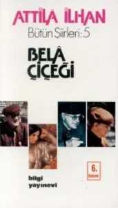 Bela Çiçeği