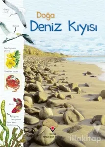 Doğa: Deniz Kıyısı (Ciltli)