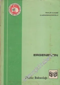 Ergenekon: Milli Mücadele Yazıları -
