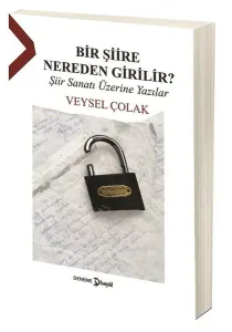Bir Şiire Nereden Girilir? Şiir Sanatı Üzerine Yazılar