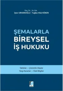 Şemalarla Bireysel İş Hukuku