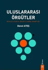 Uluslararası Örgütler; Devletlerin Örgütlenme Mantığı