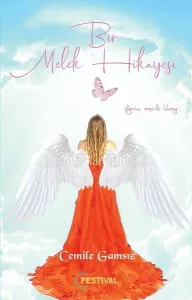 Bir Melek Hikayesi