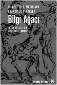 Bilgi Ağacı