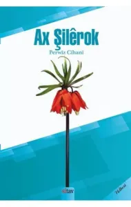 Ax Şılêrok