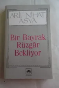 Bir Bayrak Rüzgar Bekliyor