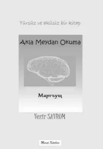 Akla Meydan Okuma