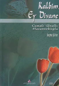 Kalbim, Ey Divane