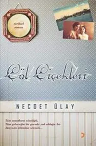 Çöl Çiçekleri