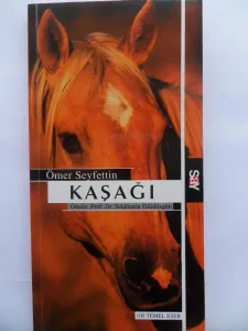 Kaşağı