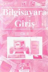 Bilgisayara Giriş Cilt II