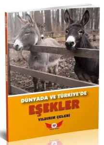Dünyada Ve Türkiye’de Eşekler