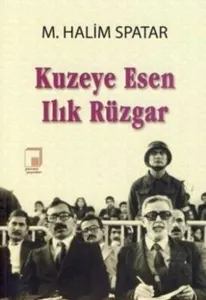 Kuzeye Esen Ilık Rüzgar
