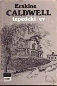 Tepedeki Ev