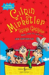 Çılgın Mirketler: Uçuşa Geçiyor