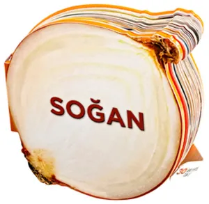 Soğan / Lezzetli Magnetler