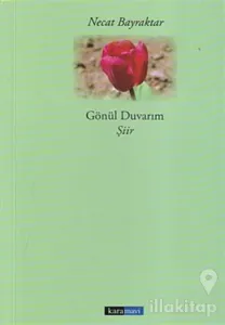 Gönül Duvarım